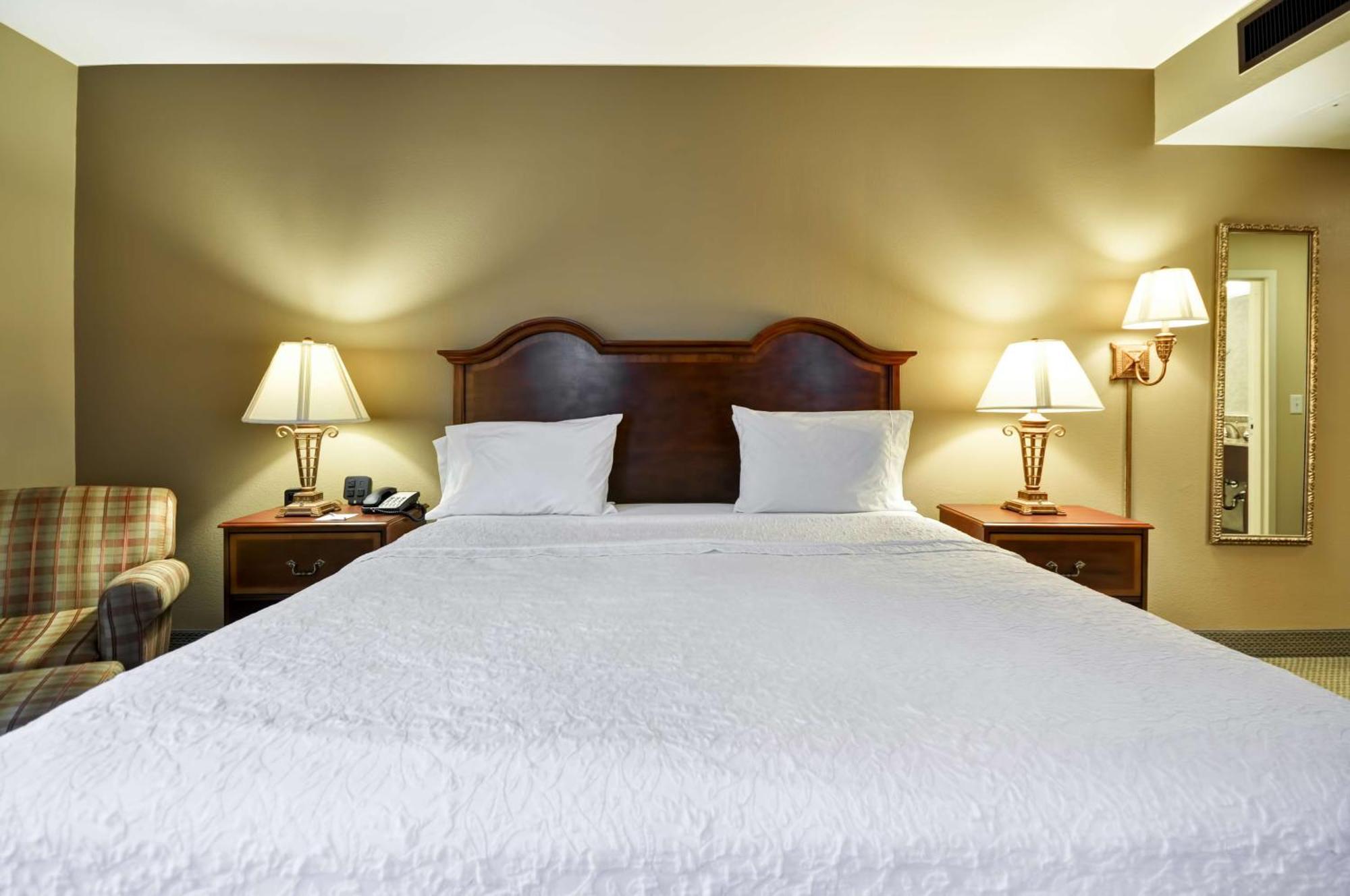 Hampton Inn Charleston-Historic District Extérieur photo